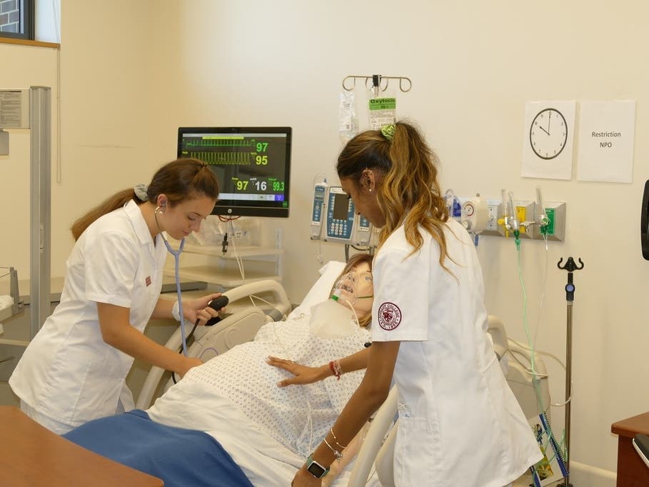 Molloy University School of Nursing and Health Sciences has received an international distinction.