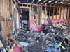 Seven cats were rescued from a home in Hicksville before it was demolished by a fire last month. 