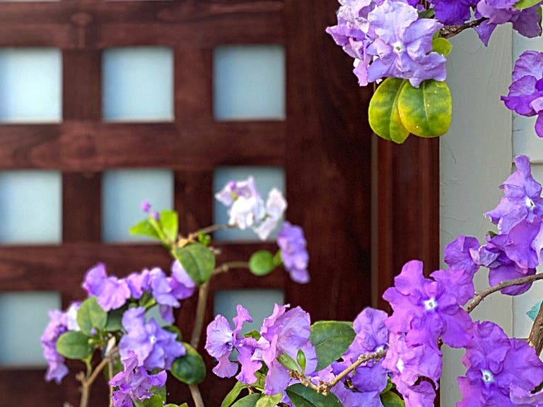 29th Annual Mother’s Day Weekend Art, Garden & Studio Tour