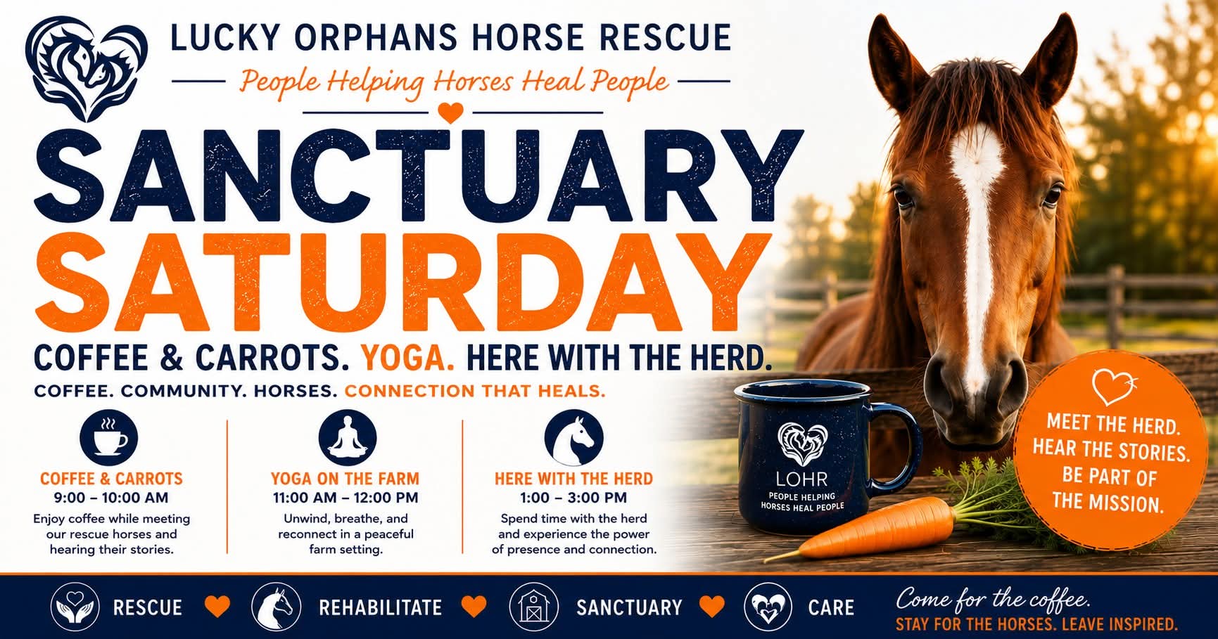 Sanctuary Saturday
