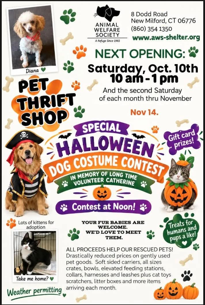 Special Halloween Dog Costume Contest & Pet Thrift Shop
