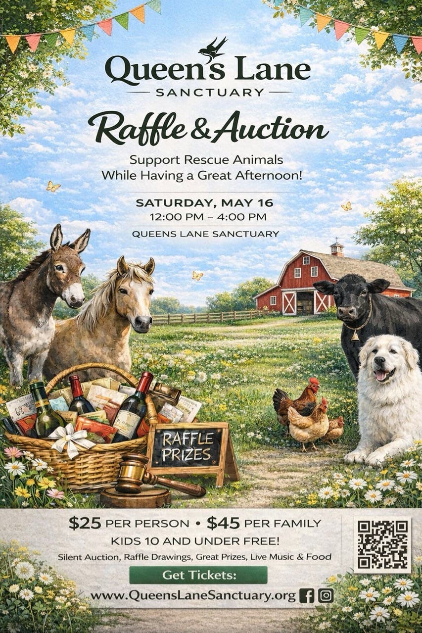 Queen's Lane Sanctuary Raffle & Auction