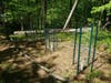 The site of American Chestnut plantings at the Helen Altschul Preserve in Stamford. The other planting location is Birch Meadow Preserve.