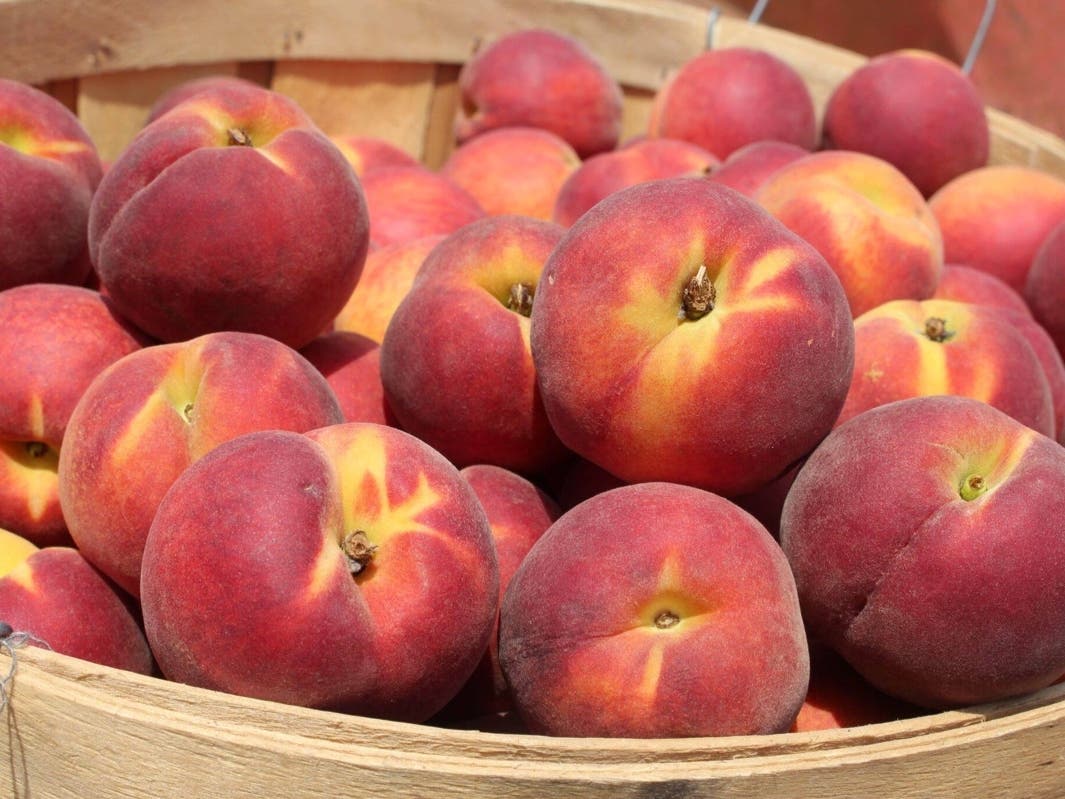 Georgia Peach Truck will be at McArdle’s Florist and Garden Center on June 22.