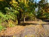 The entrance to the new greenway trail just off of Green Street.