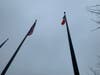 The Irish flag flies next to the American flag in front of Greenwich Town Hall.