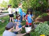 Millie Hardwick and Ruby Shah are adding compost as the final step to the container with help from April Hardwick.