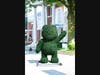The "BearyPotter" topiary