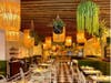 Located at 376 Greenwich Ave., Happy Monkey showcases Latin cuisine with a Jean-Georges flair in a casual, fun atmosphere.