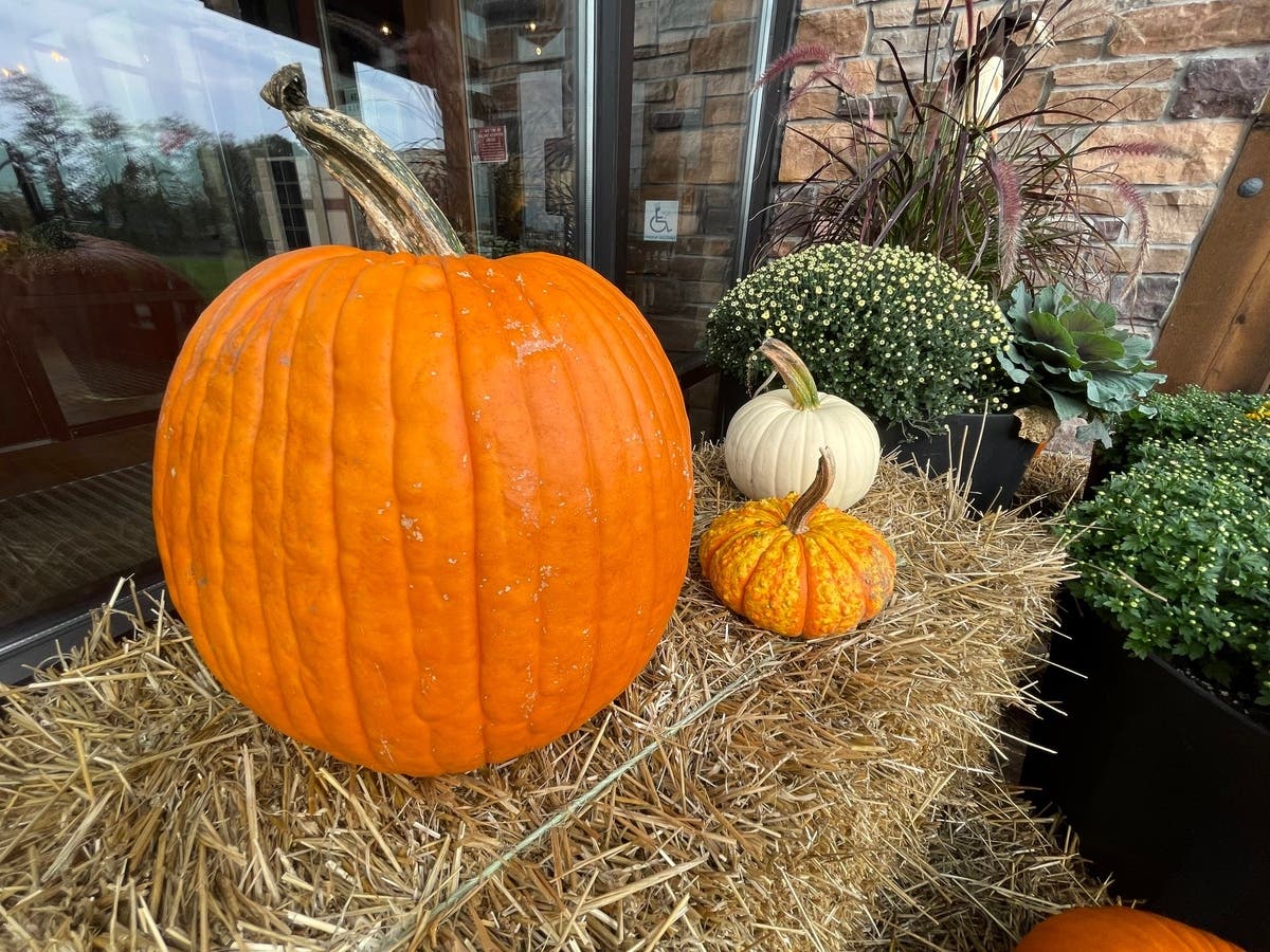 Fall is a great time to get outside in Stamford and take in the rich offering of festivals.