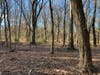 This is the Stamford Land Conservation Trust's 47th nature preserve.