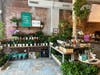 The Sill's pop-up boutique is located within Maman at 98 Greenwich Ave.