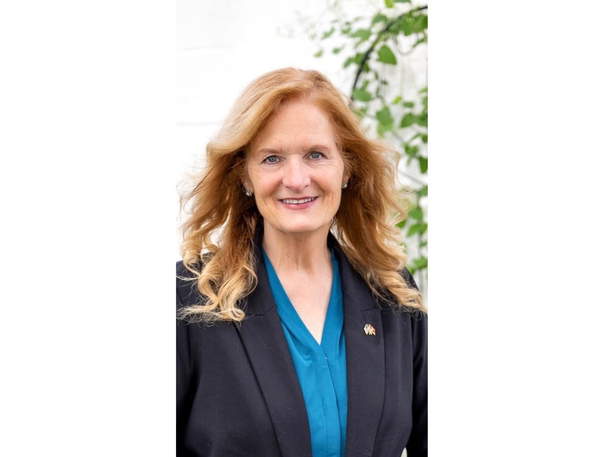 Patch reached out to candidates for local office to get more information on their campaigns and the issues that are facing the town.