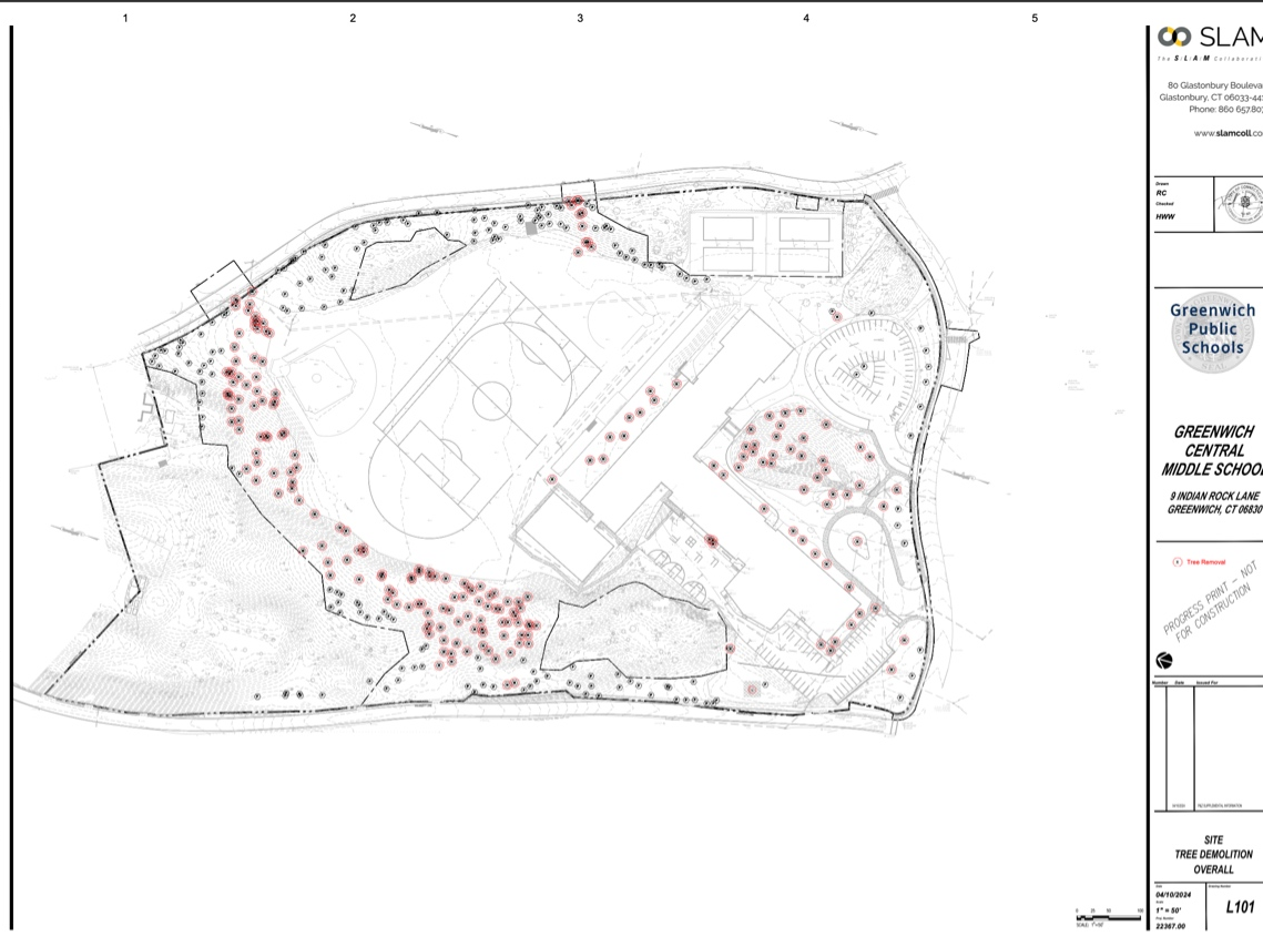 Trees marked for removal at the Central Middle School campus.