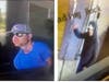 Anyone with information regarding the person's identity is encouraged to contact the Stamford Police Department's Property Crimes Division at 203-977-4407 or at 203-977-5828.
