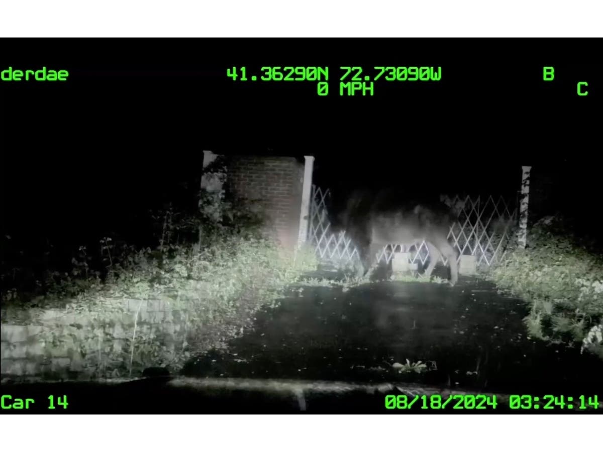 Police released dashcam footage of their bison encounter from Aug. 18.
