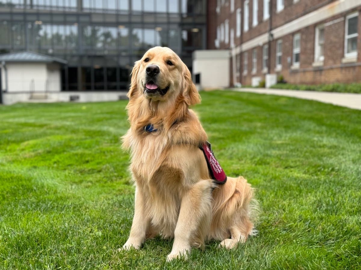 Harrison came to Stamford on July 31, 2023.