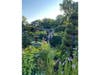 The Stamford Garden Club celebrated 50 years of caring for Stamford’s prized Goodbody Garden with a September party in the garden.