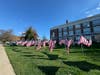 American flags line the front of Greenwich Town Hall.