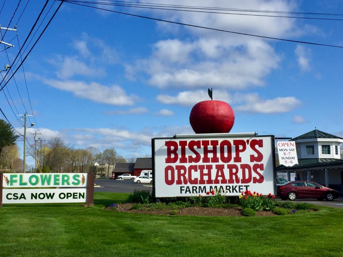 Tickets for the Apple Blossom Festival​ are $12 per person and $10 for seniors aged 65 and older. Children under the age of 2 will be admitted free.