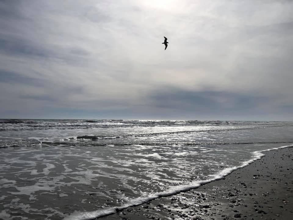 North Myrtle Beach, Ocean Drive Beach area. Photo courtesy of Kathleen Mandell