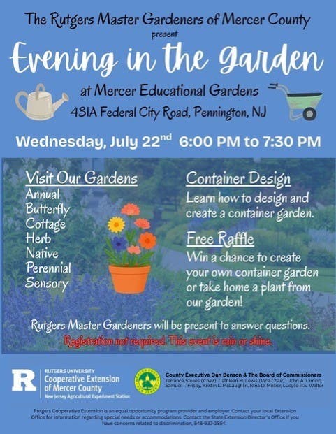 Evening in the Garden