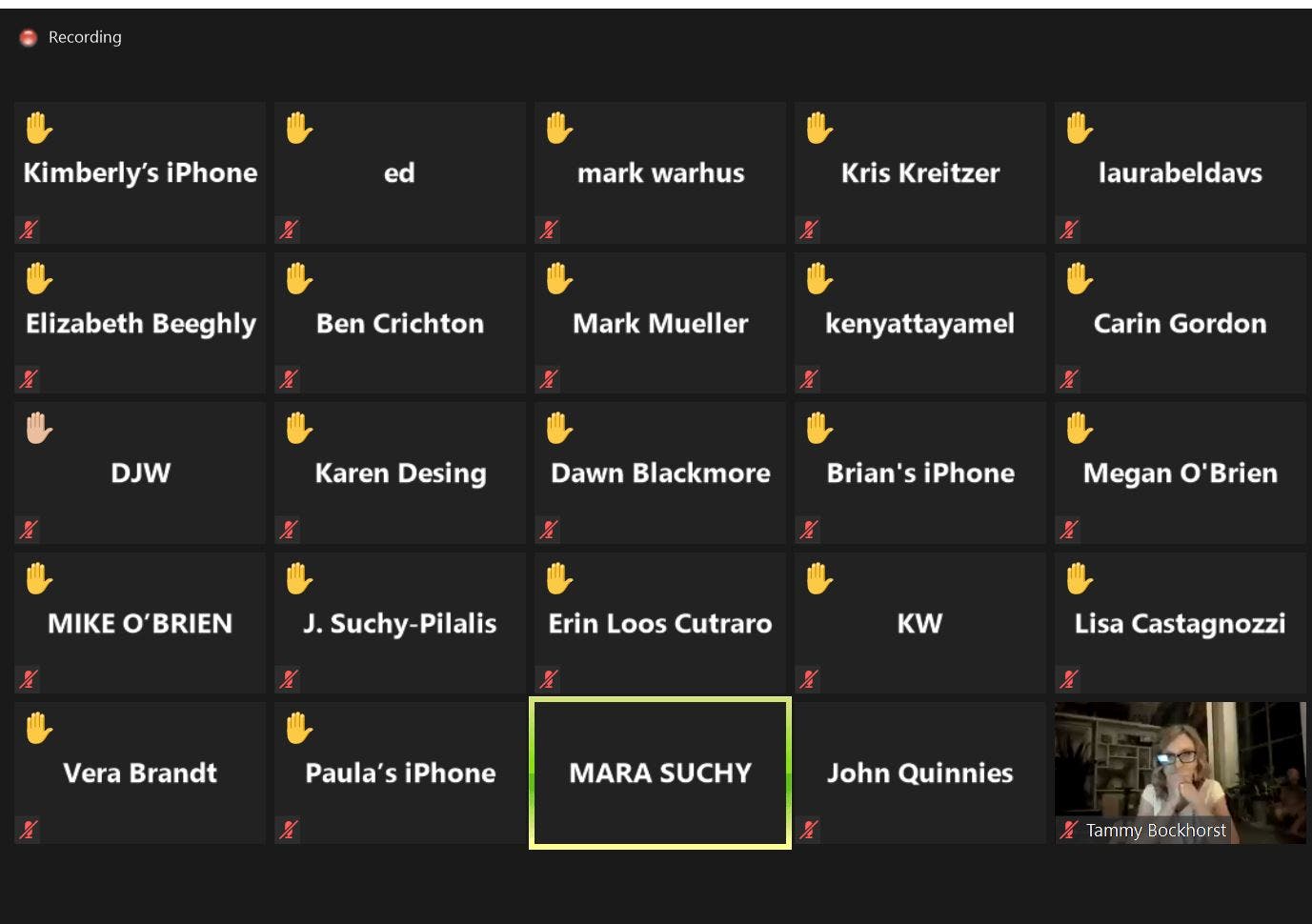 Raised hands oppose the Capitol Drive development. 