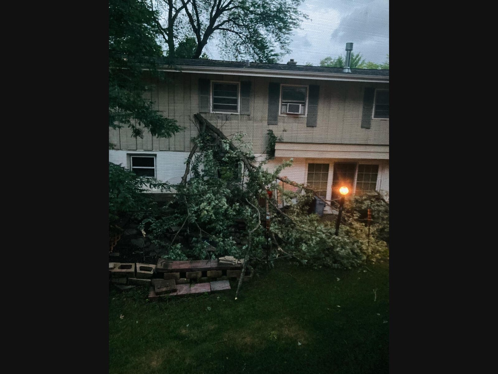 A fallen tree in Greendale, Wisconsin. 