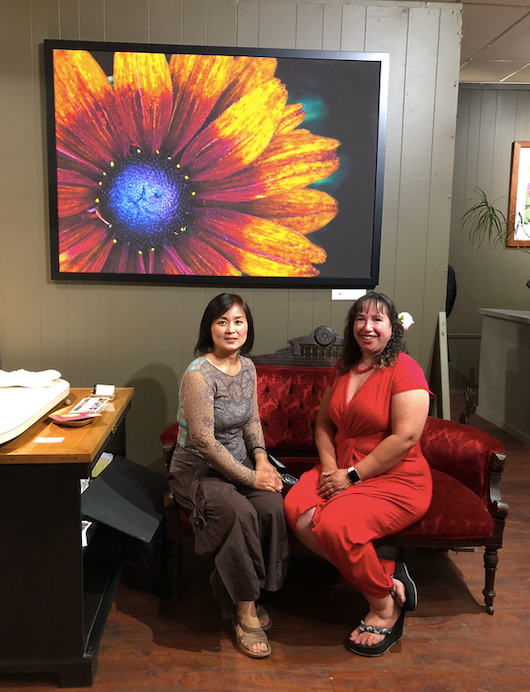 BLOOM Colors inside and artists