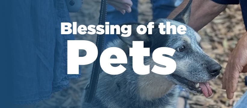 Blessing of the Pets
