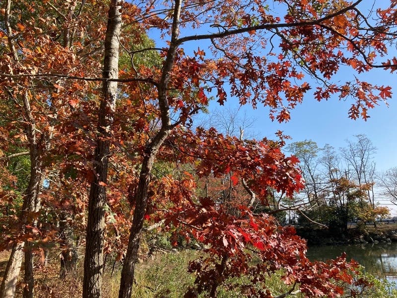 The first day of fall is Sept. 22. The autumnal equinox isn’t a daylong event but rather occurs at the exact moment the sun crosses the celestial equator — that’s at 2:21 p.m.