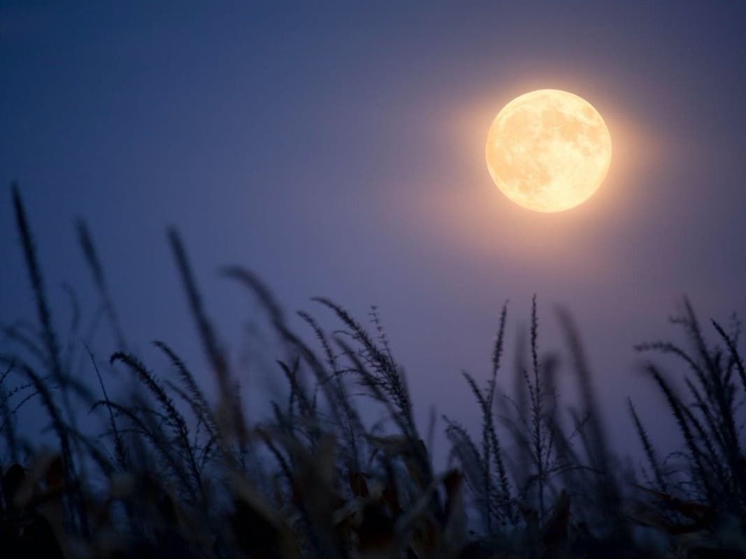Depending on the year, the full harvest moon usually happens up to two weeks before or after the autumn equinox.