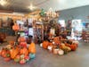 Mums, apple cider donuts, fall decor and apples — among many other things — will be for sale at the farm. 