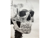 Plainfield Central High School junior Grace Leeth's graphite pencil drawing "Anatomy Lesson."