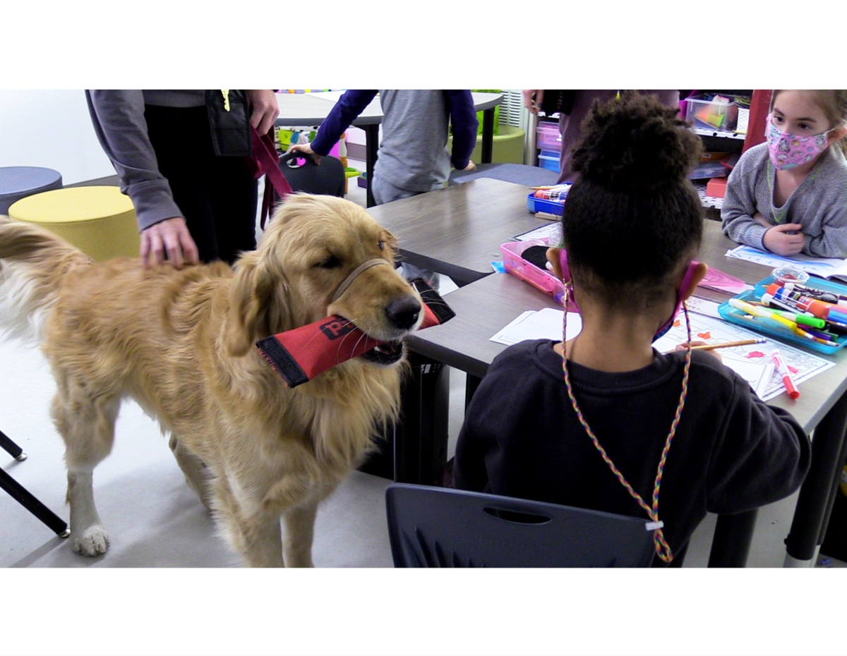 New Facility Dog, Charger, Introduced To Students At Wallin Oaks