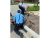 A local resident called Oswego police to alert them of the ducks that fell into a storm sewer behind Red Robin, officials said.