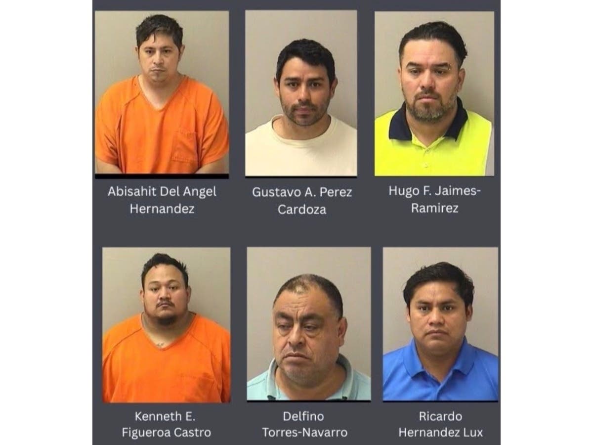 The six men knowingly advanced and profited from prostitution by arranging clients and controlling the use of residential apartments in Aurora, West Dundee, South Elgin and Rockford, authorities said.
