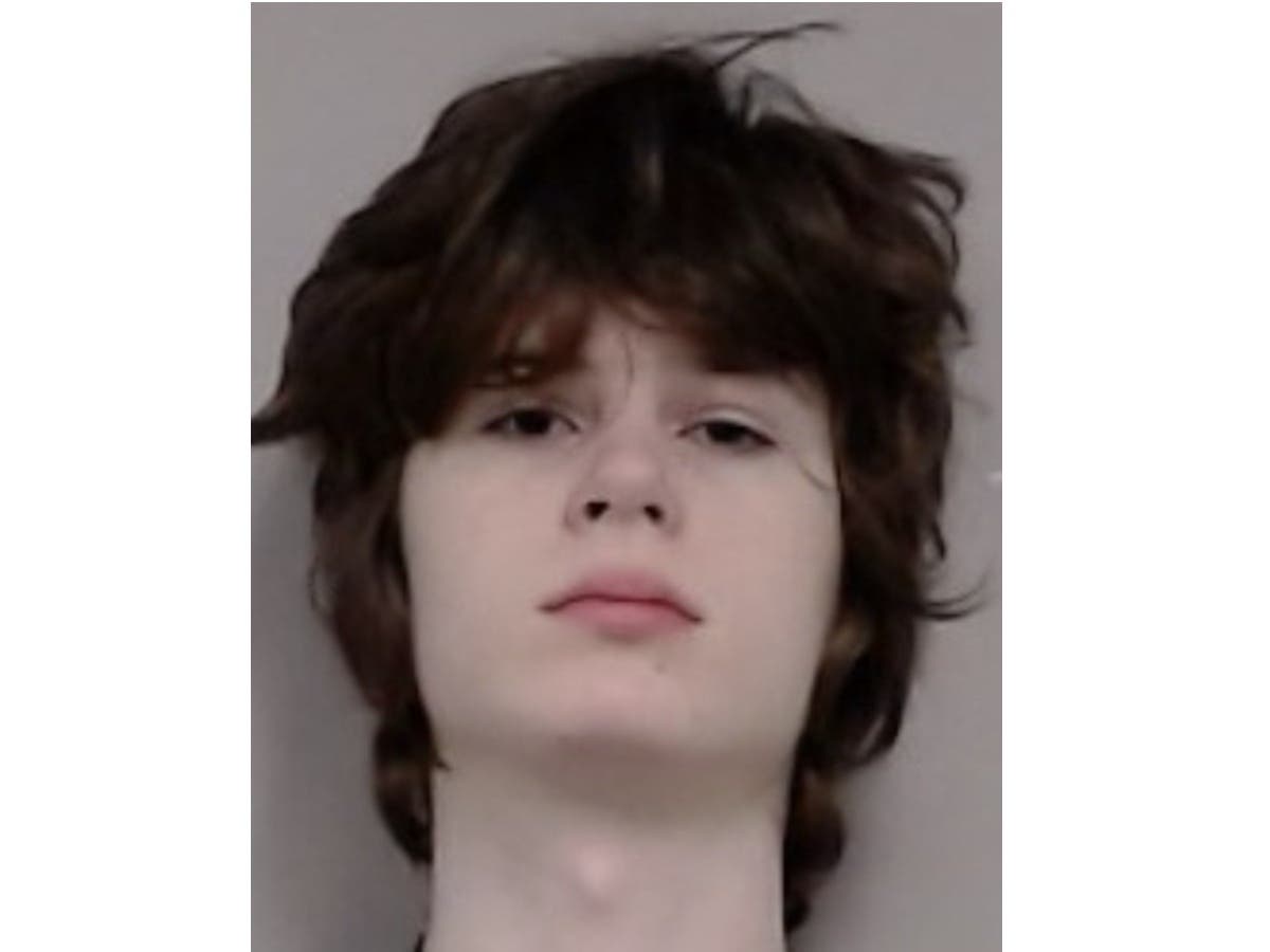 Alexandros Paporakis, 19, of the 1300 block of North Baldwin Court in Palatine is accused of plotting a mass shooting at a Hindo temple in Aurora.