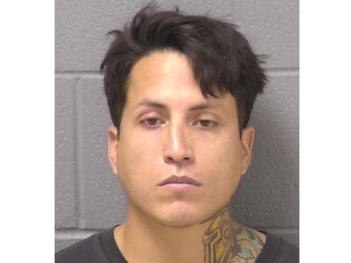 Axel Molina Hernandez, 29, of the 13900 block of South Marybrook Drive in Plainfield, is accused of abusing his partner's cat on more than one occasion, causing even more serious injury the second time.