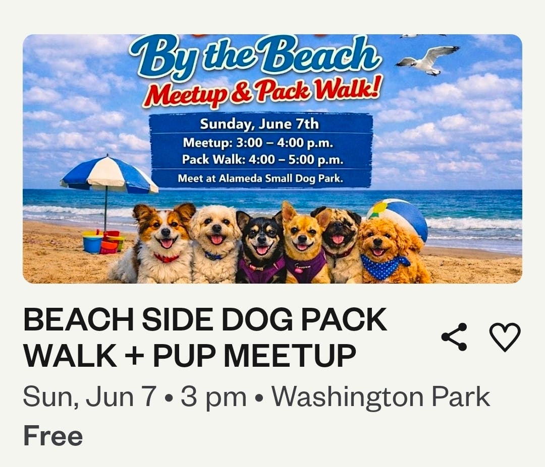 By The Beach Meetup & Pack Walk!