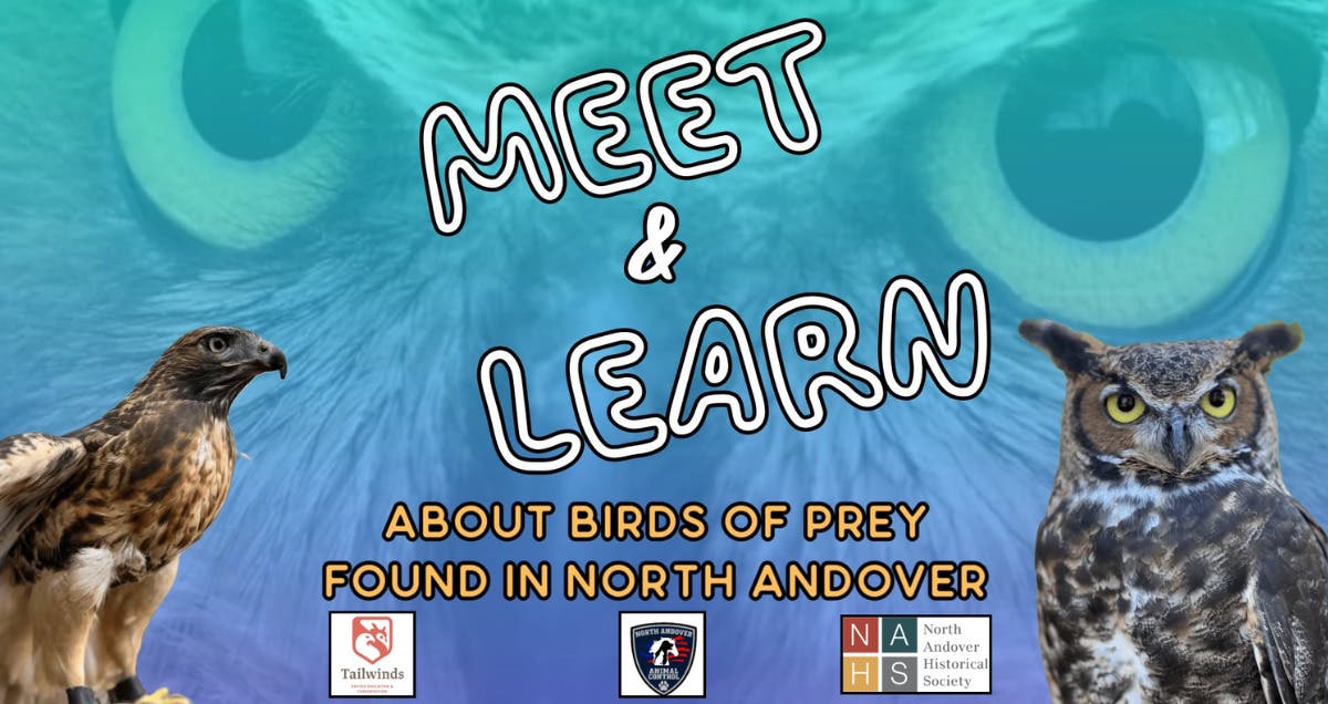 Birds of Prey Meet & Learn