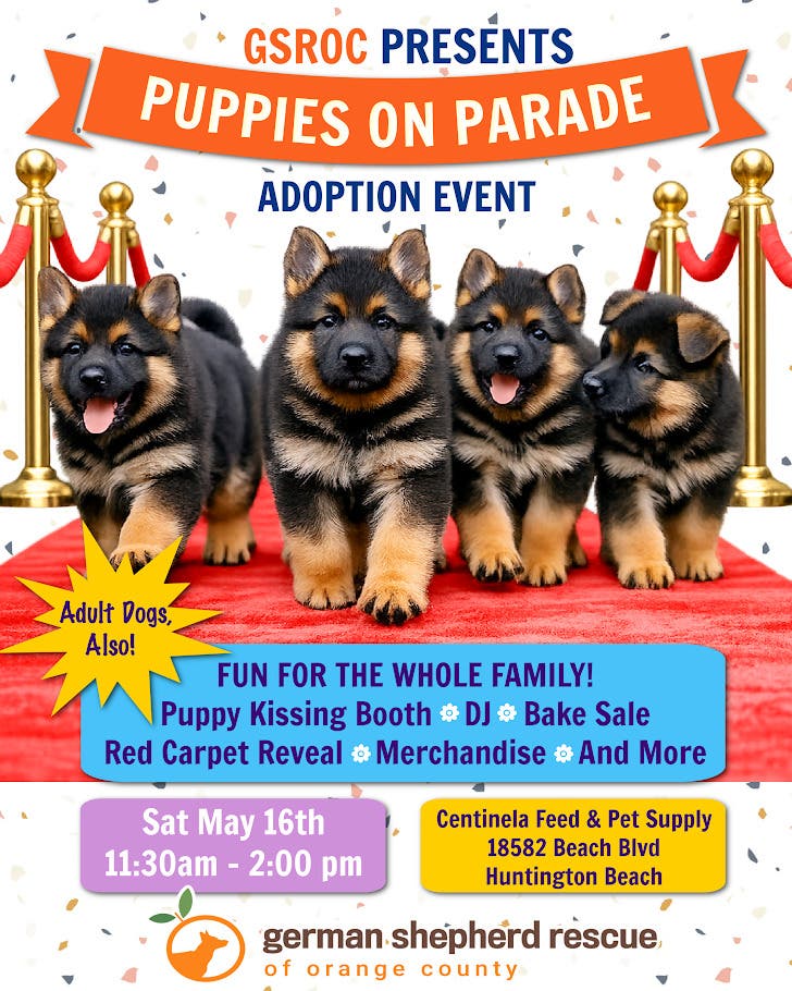 Puppies On Parade -- German Shepherd Rescue of OC Adoption Event