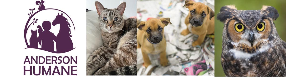 Anderson Humane