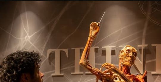 Real Bodies: A Journey Through the Human Experience at the Horseshoe Las Vegas