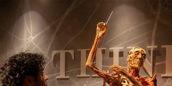 Real Bodies: A Journey Through the Human Experience at the Horseshoe Las Vegas