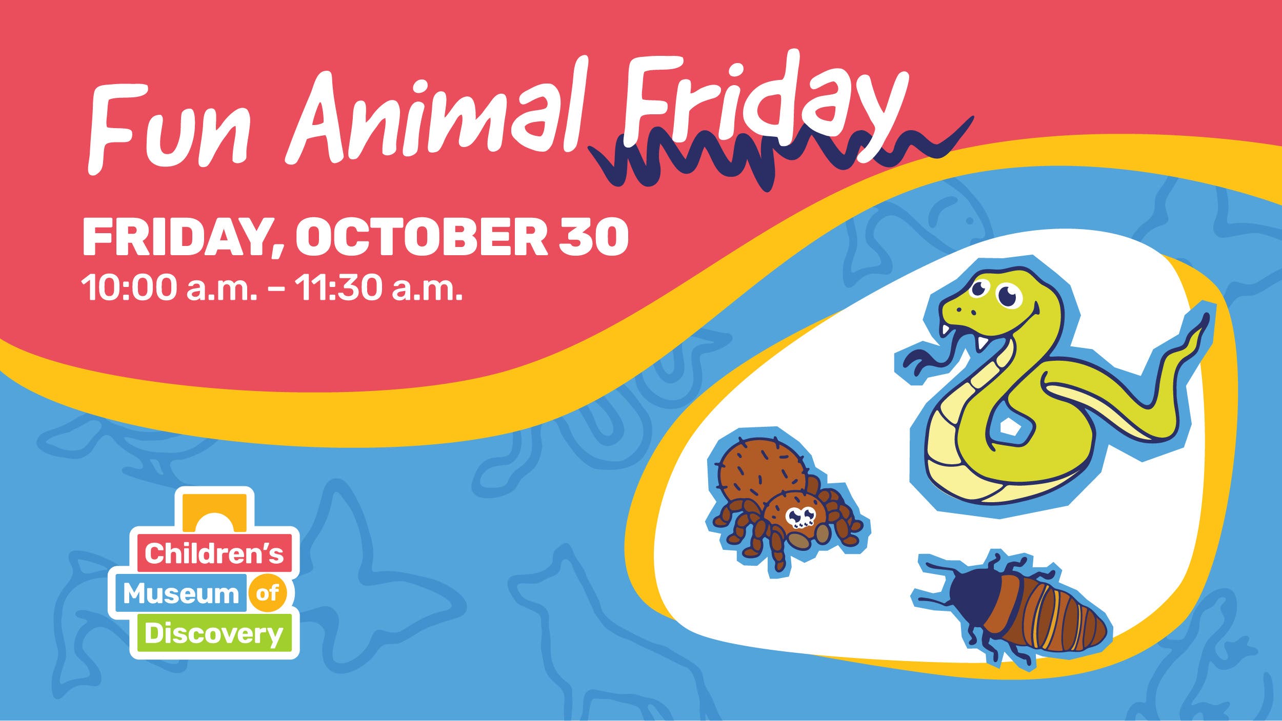 Fun Animal Friday: Creepy Crawlers