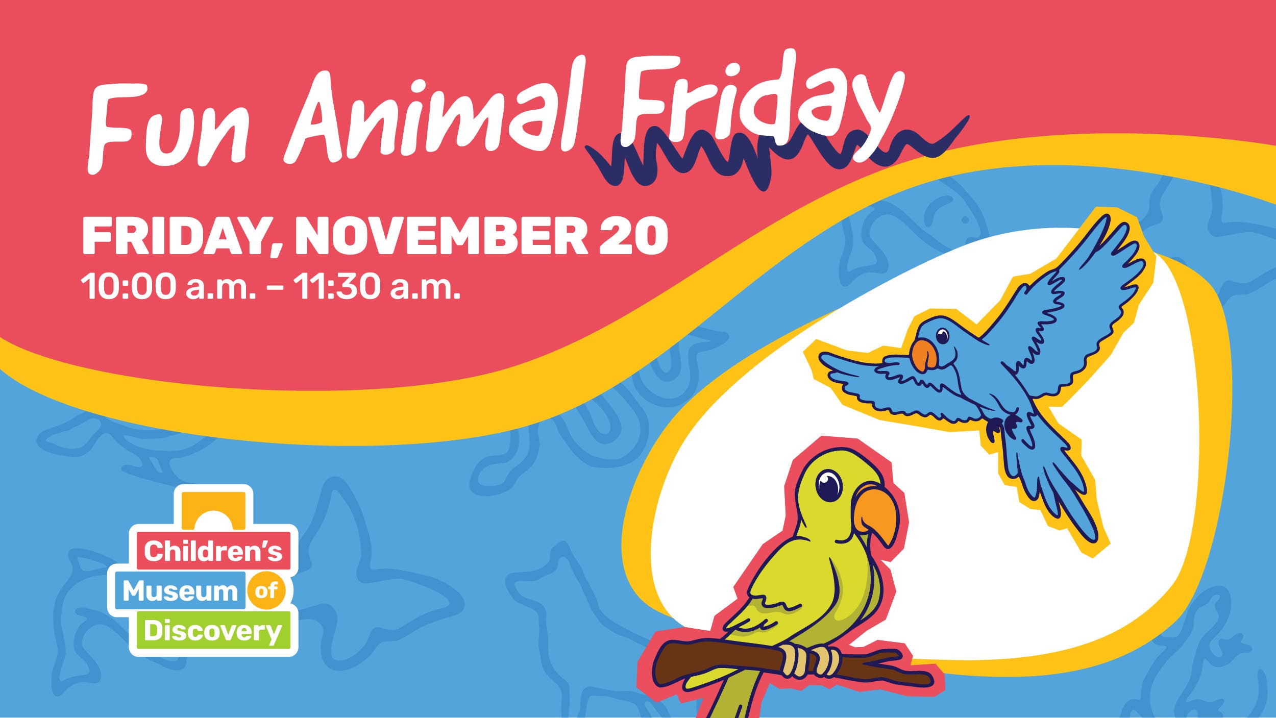 Fun Animal Friday: Exotic Birds