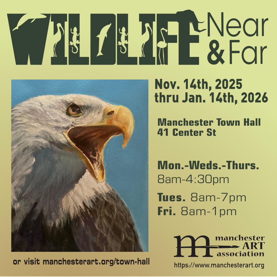 Manchester Art Association - New Exhibit