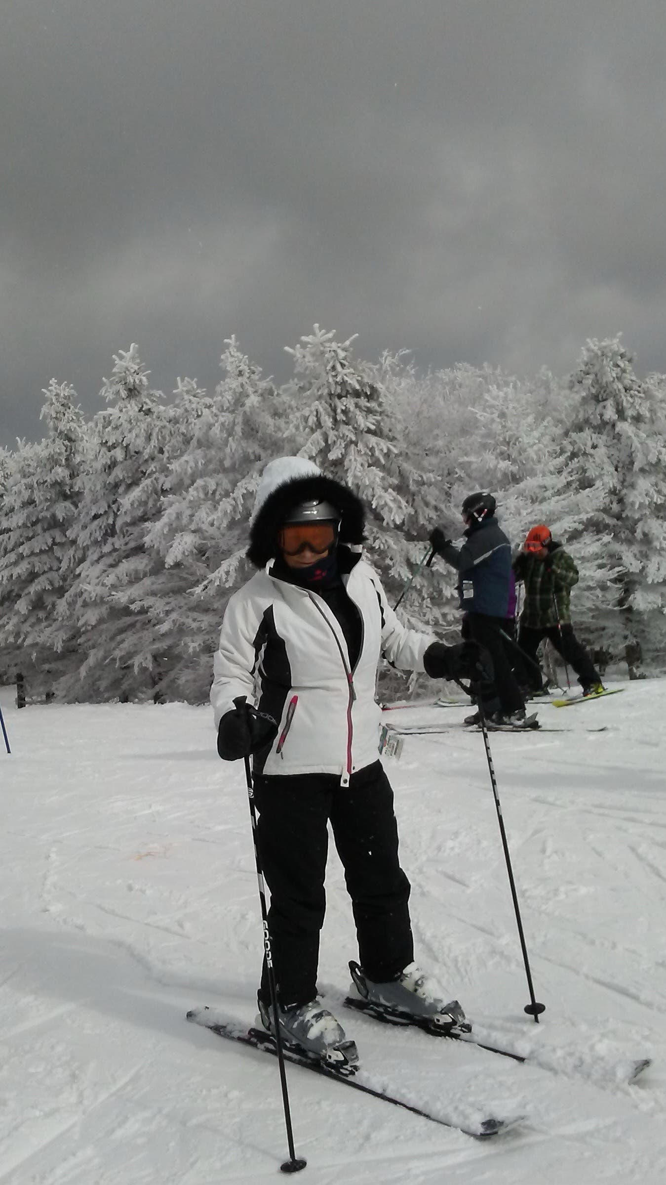 Ski Boots ~ Gray