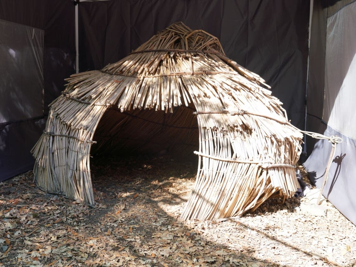 Replica tule dwelling like those used by the local Saclan Bay Miwok people at the Lafayette Community Garden and Outdoor Learning Center.